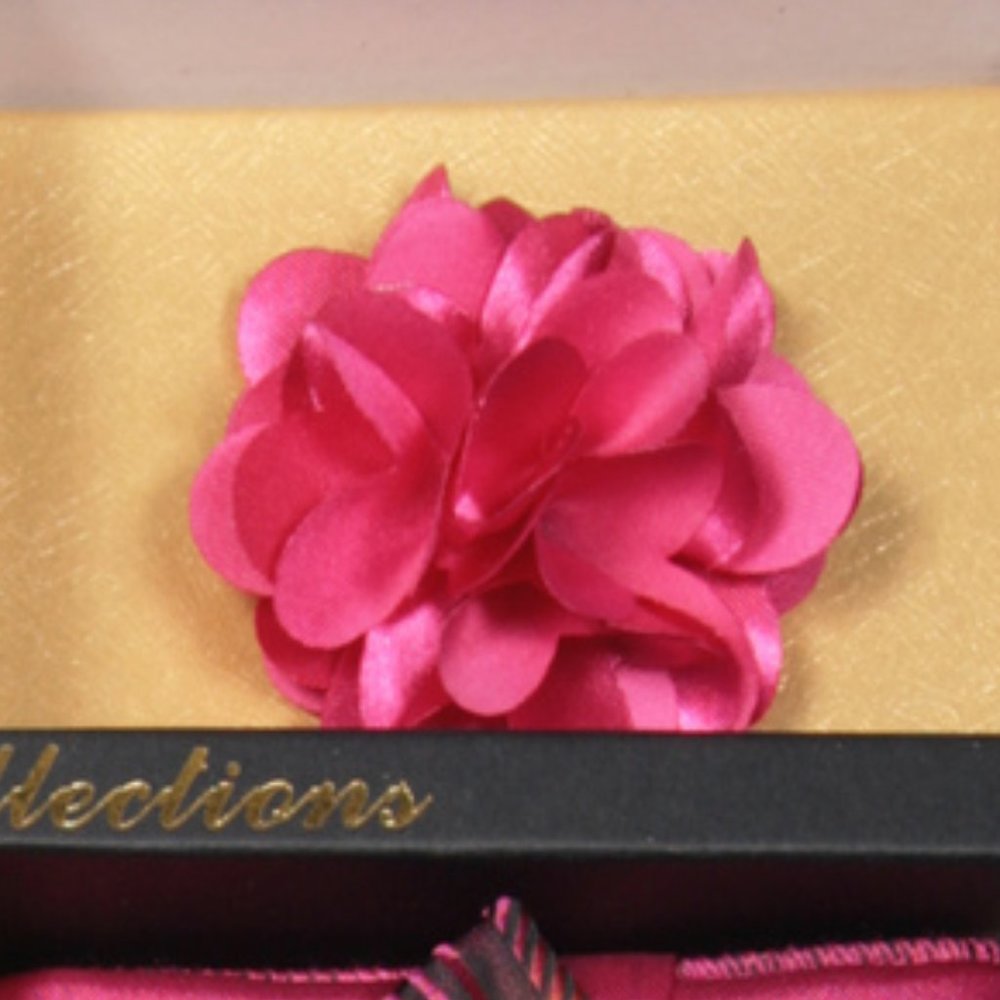 Daniel Ellissa Pink Fuchsia Bow & Neck Tie 6 Set - Picture 5 of 6